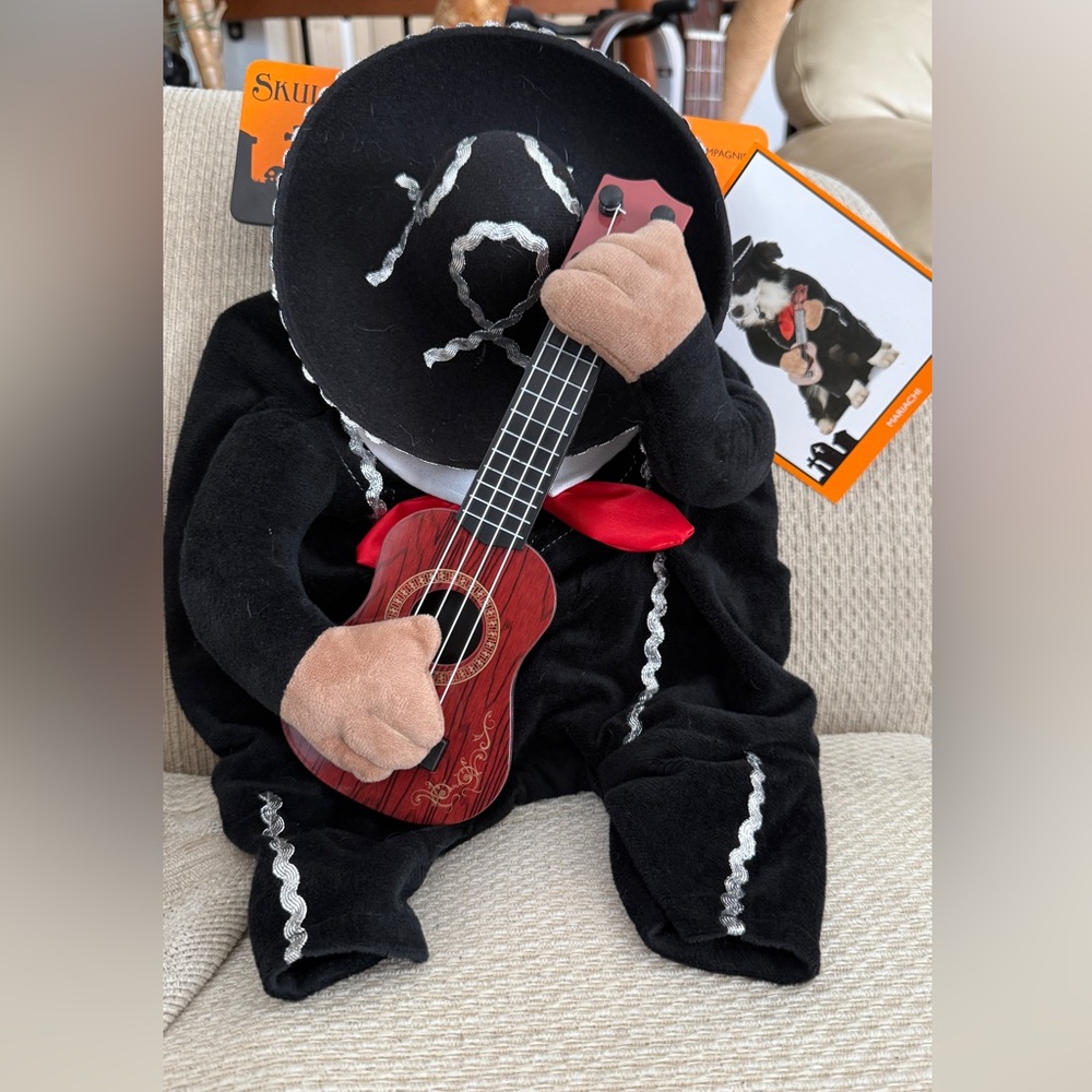 Mariachi Pet Costume